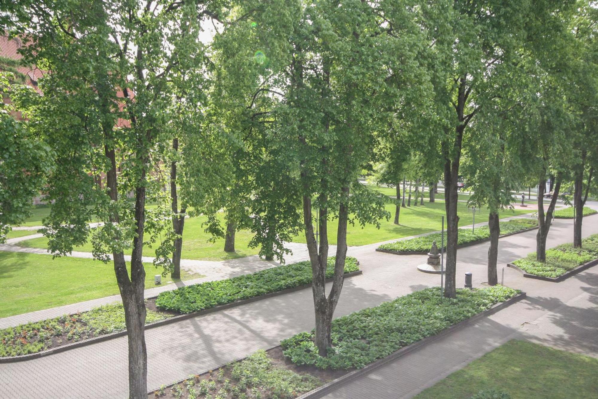 Apartamentai Vilniaus Alejoje Druskininkai Dış mekan fotoğraf